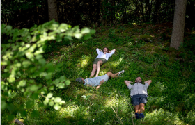 shinrin-yoku | bosbaden | helende natuur | 26