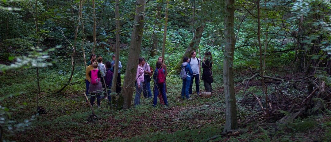 shinrin-yoku | bosbaden | helende natuur | 57