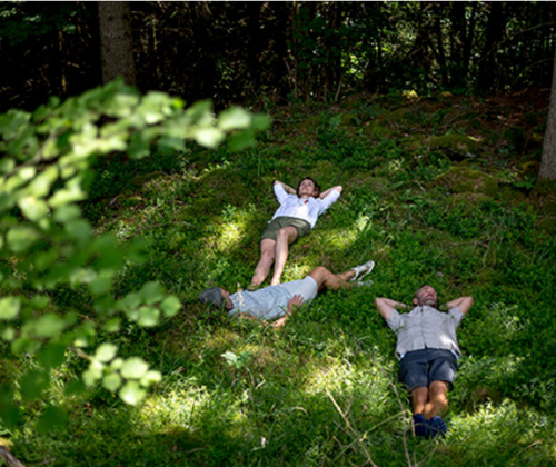 shinrin-yoku | bosbaden | helende natuur | 26